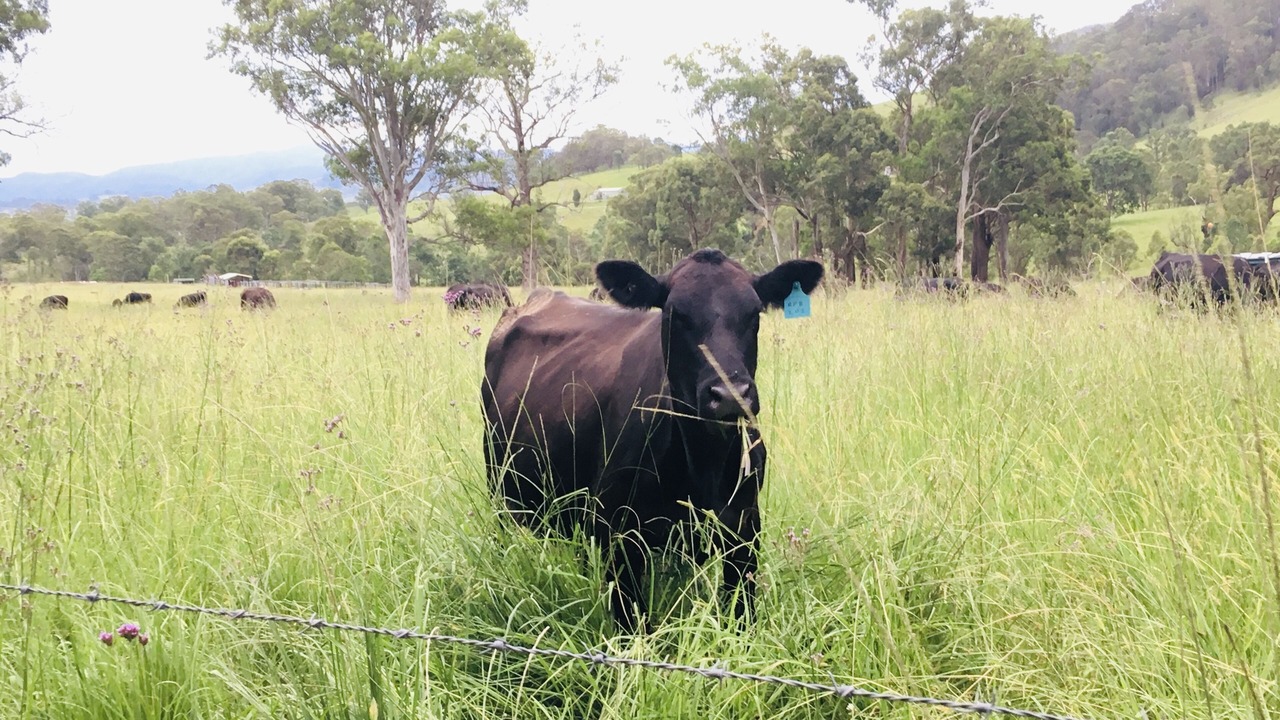 Photo of Others in Barrington