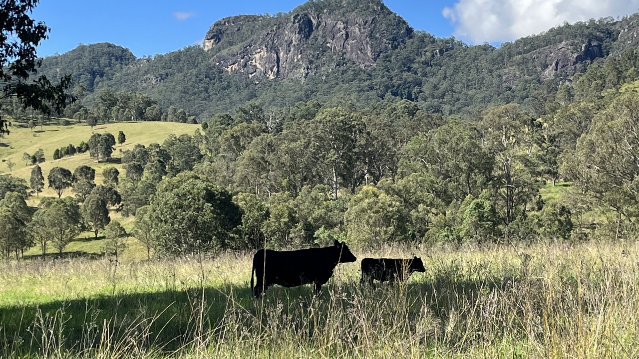 Photo of Outdoor in Barrington