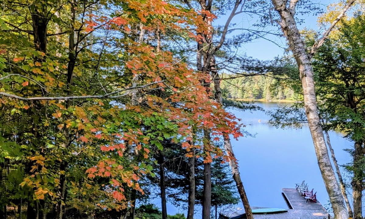Photo of Outdoor in Novar
