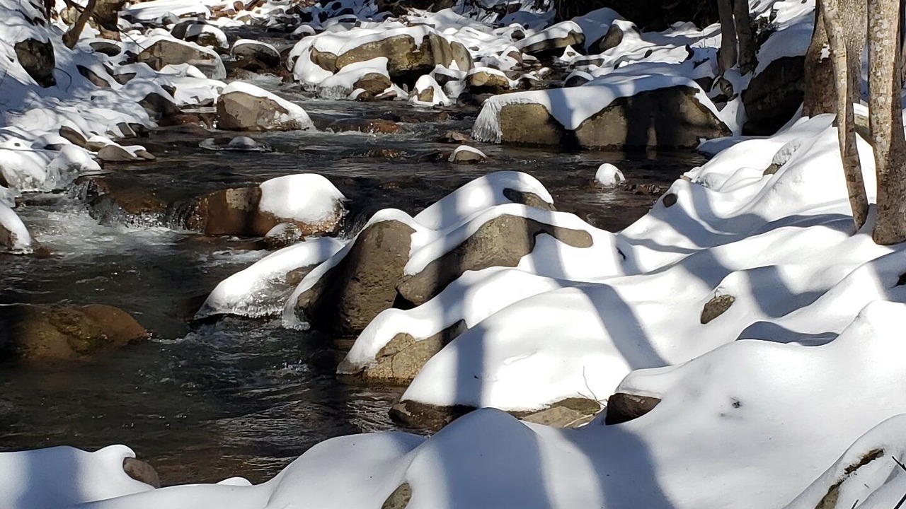 Photo of Outdoor in Chichester