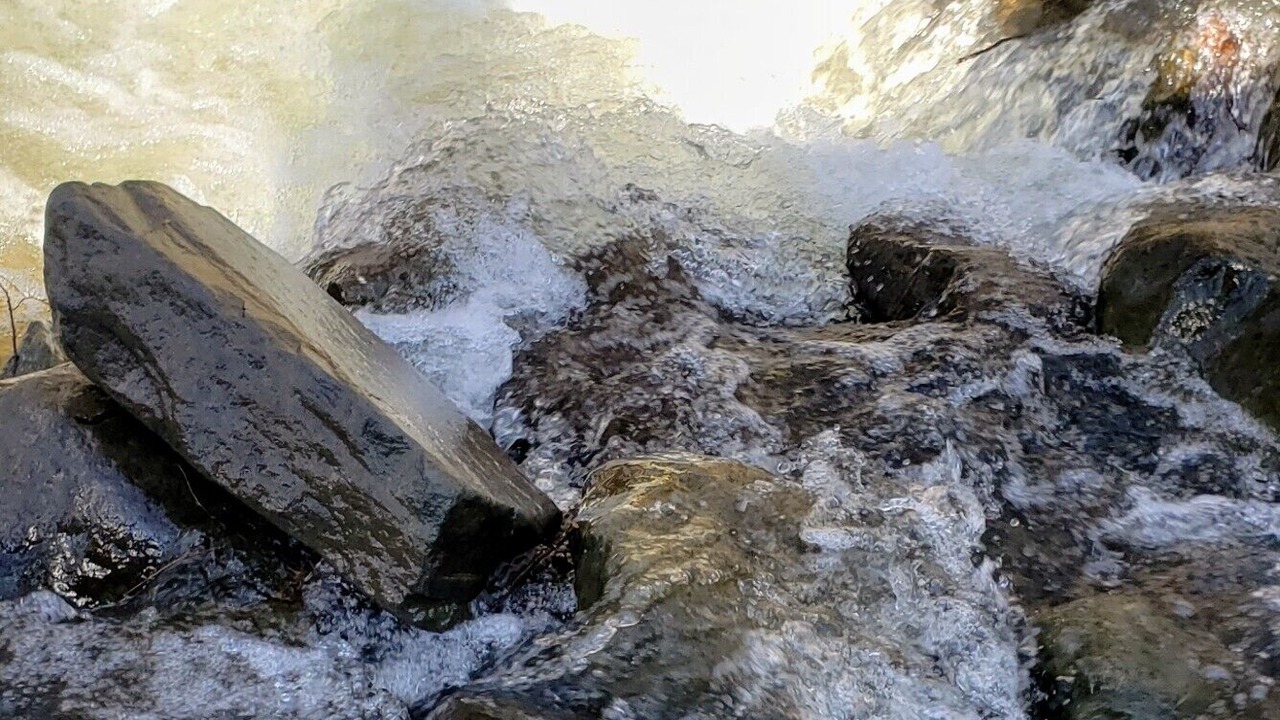 Photo of Others in Chichester