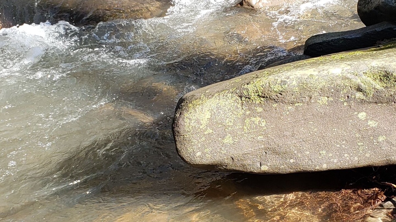 Photo of Others in Chichester