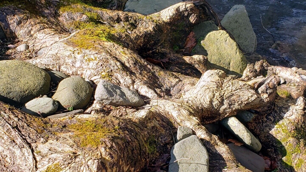 Photo of Outdoor in Chichester