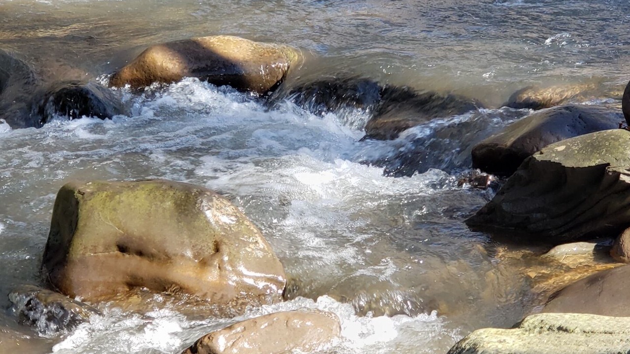 Photo of Outdoor in Chichester