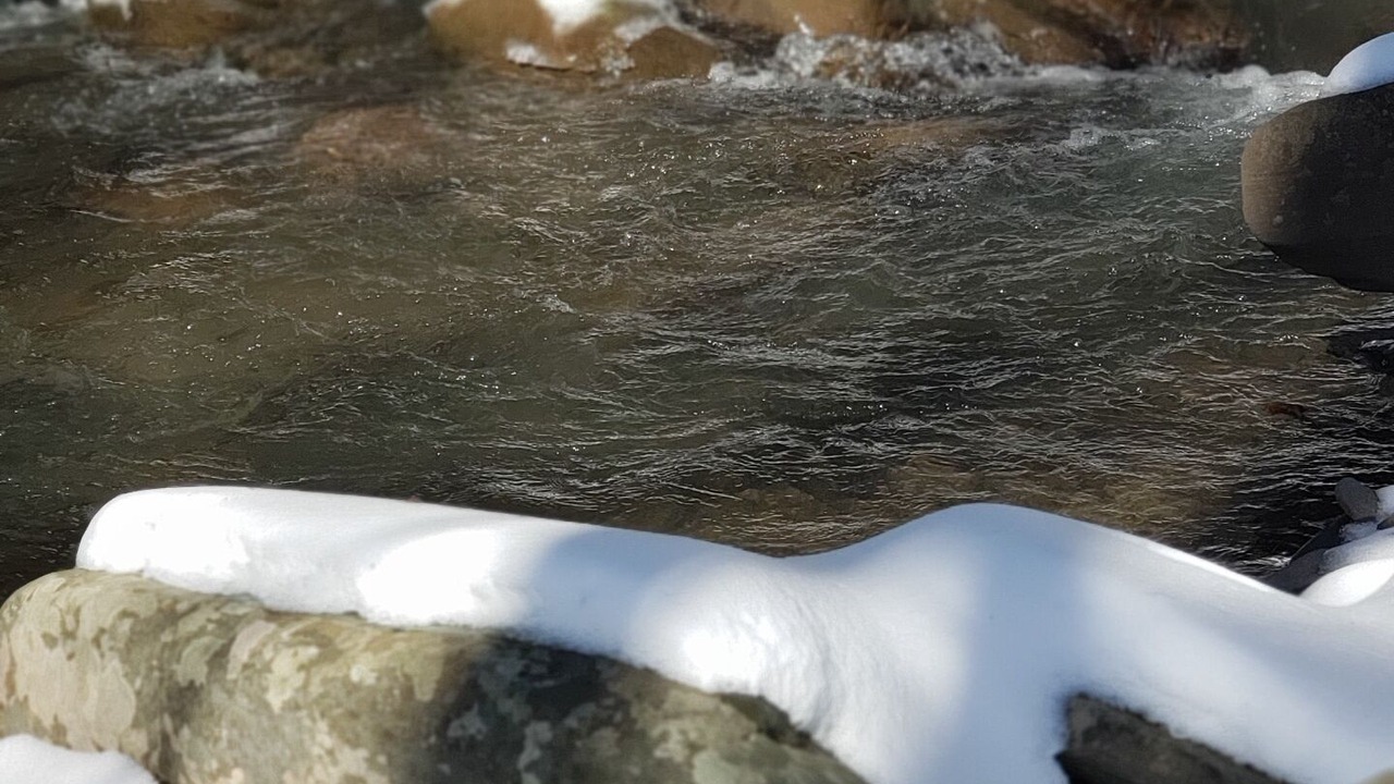 Photo of Others in Chichester