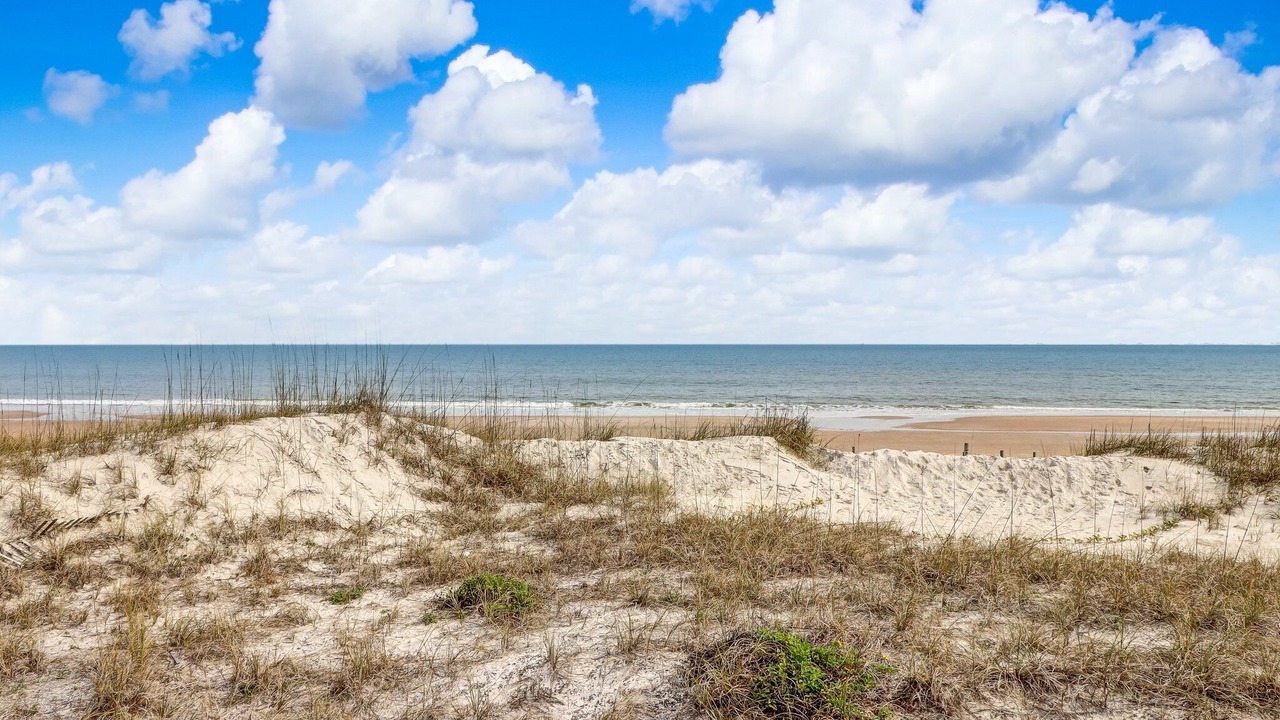 Photo of Others in Fernandina Beach