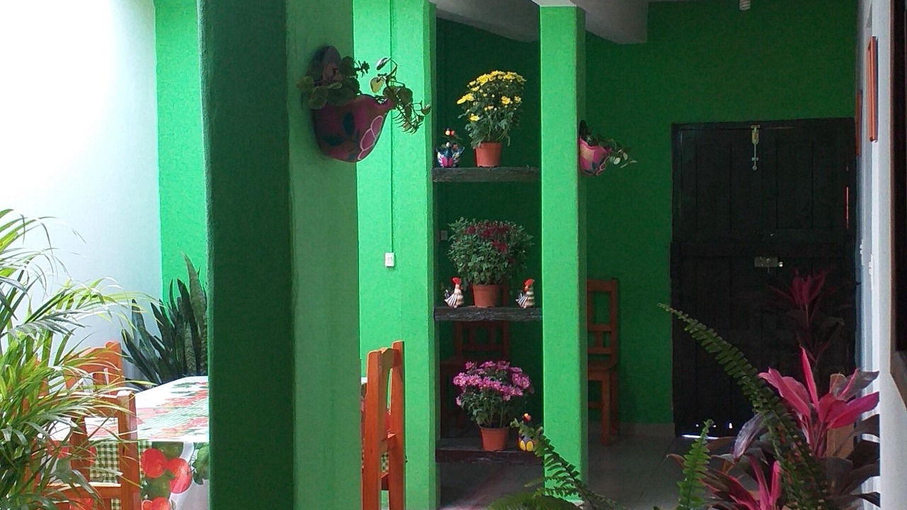 Photo of Others in De Mexicanos