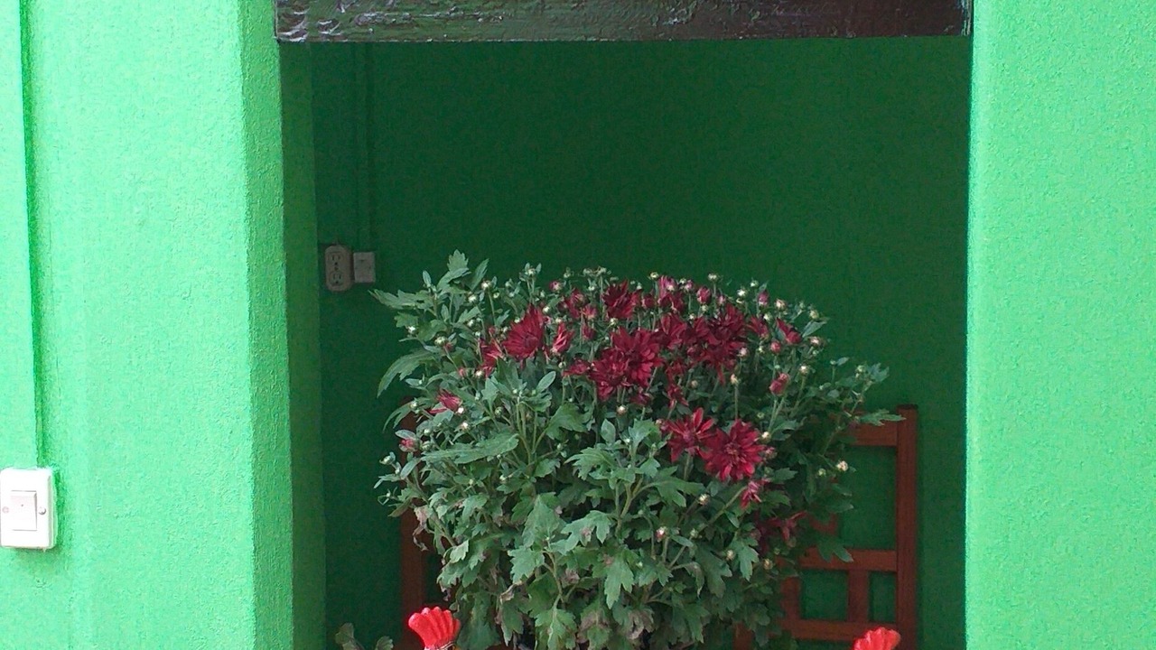 Photo of Others in De Mexicanos