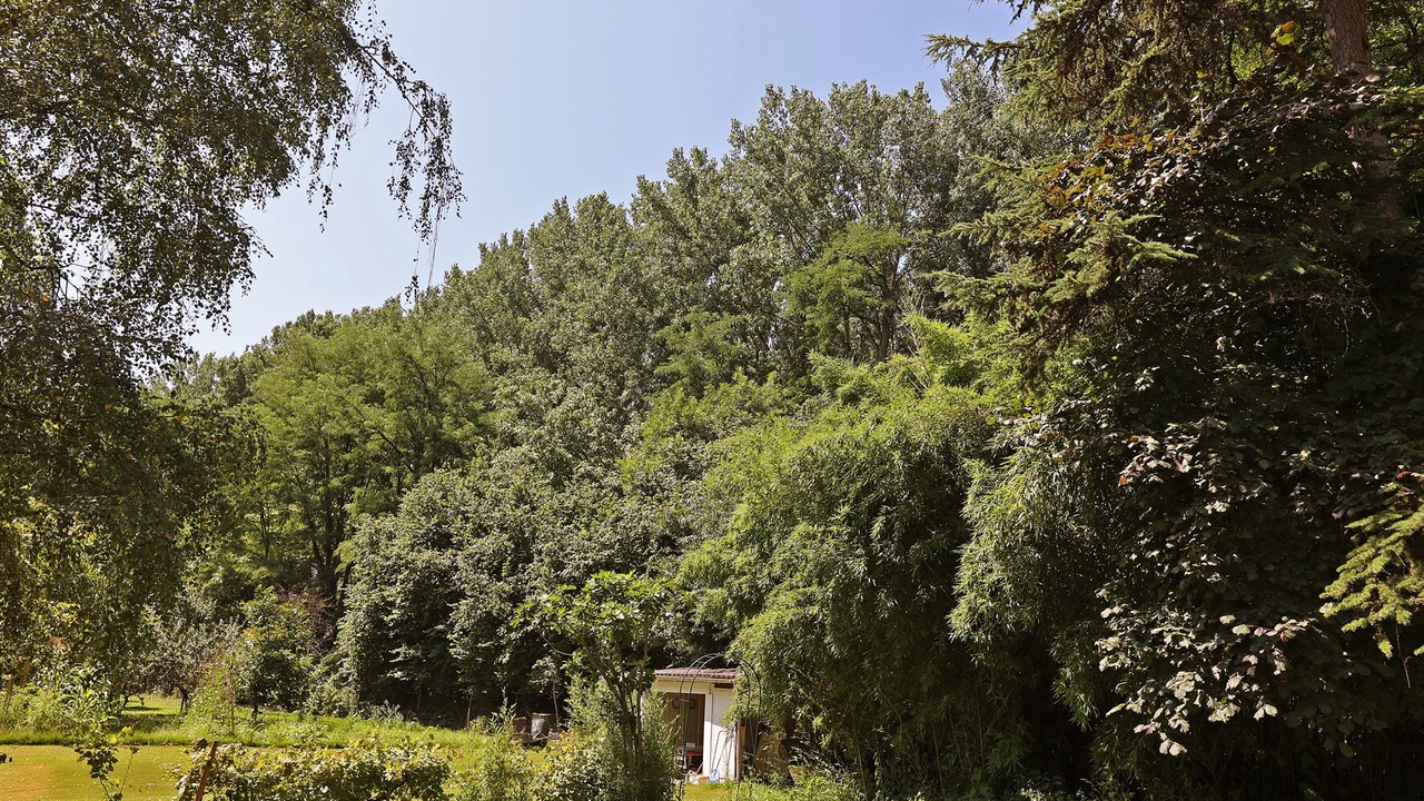Photo of Outdoor in Albi