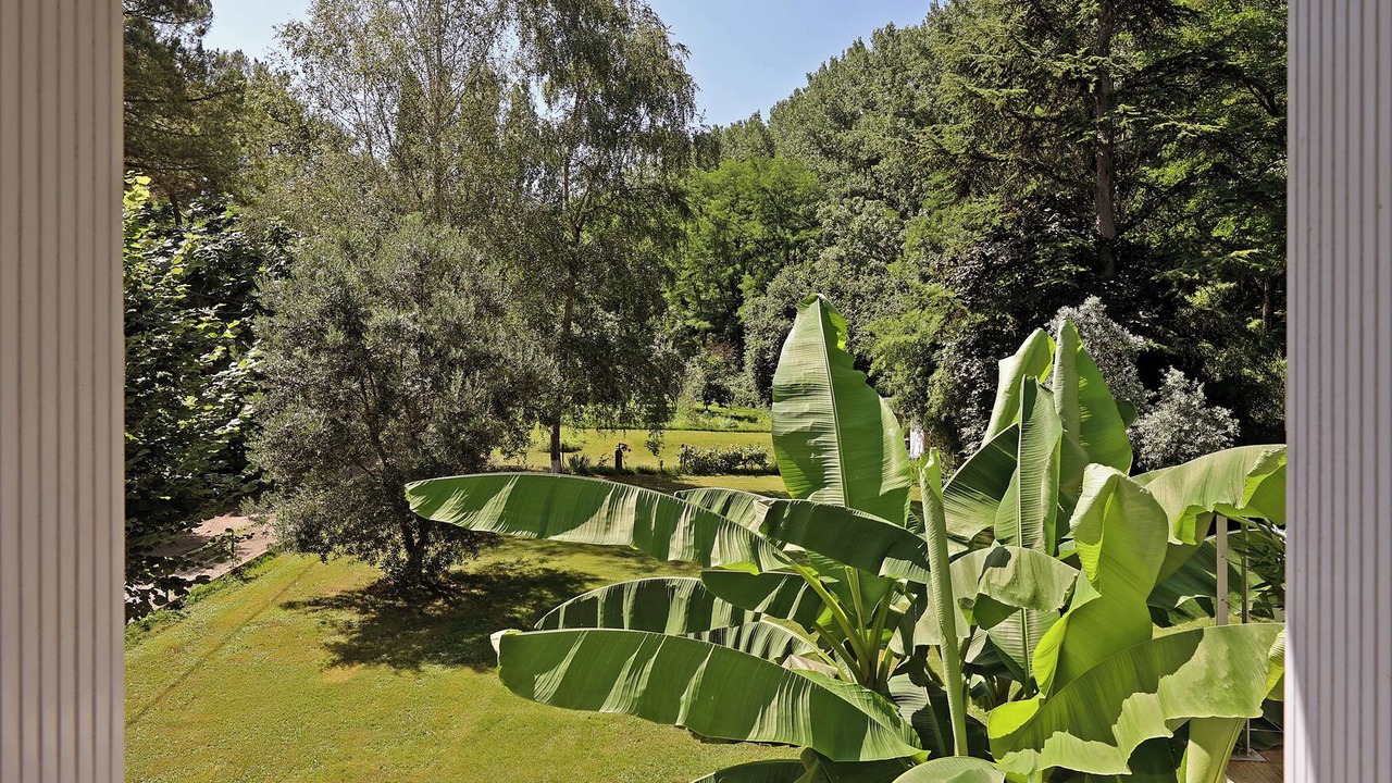 Photo of Outdoor in Albi