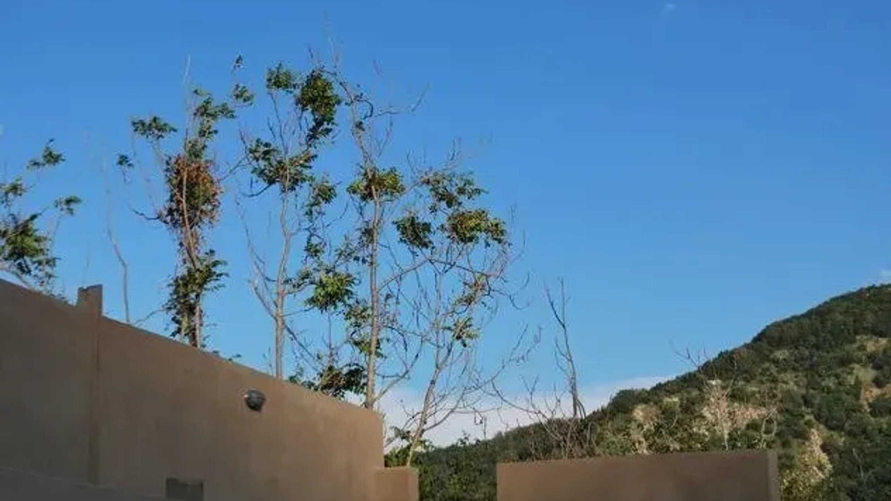 Photo of Others in Saint-Ferreol-Trente-Pas