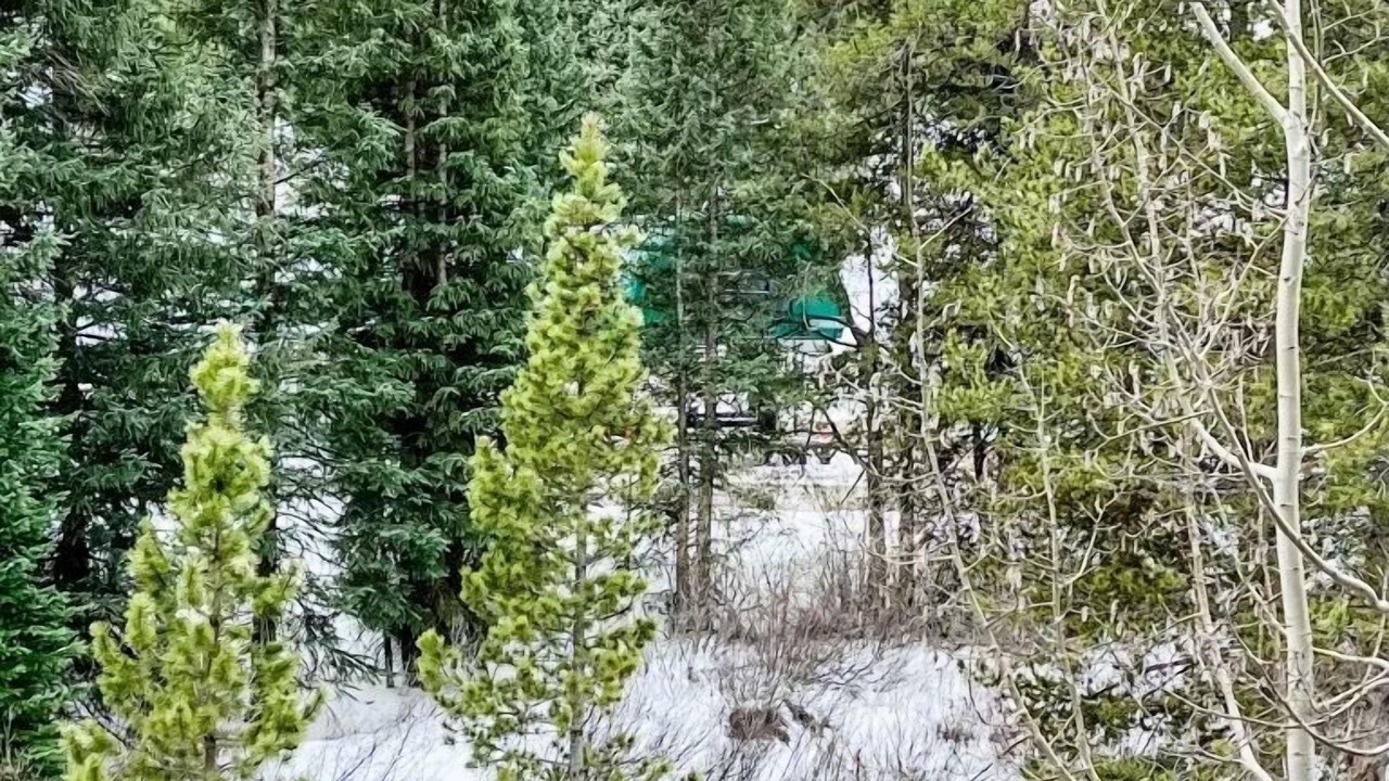 Photo of Others in Copper Mountain Village