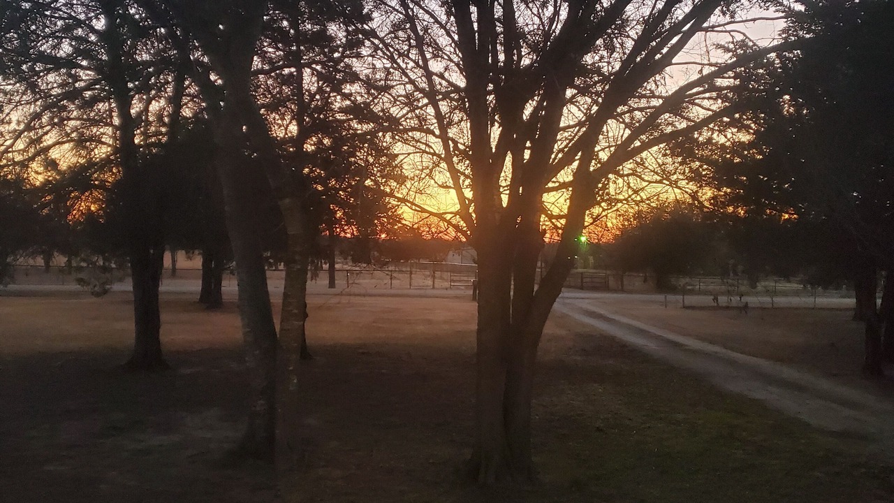 Photo of Others in Quinlan