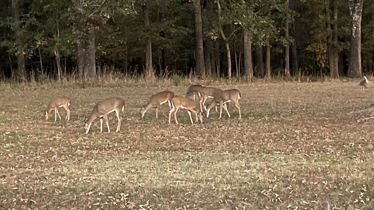 Photo of Others in Lakeview