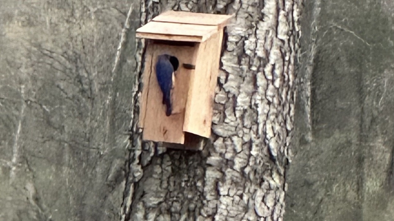 Photo of Others in Lakeview