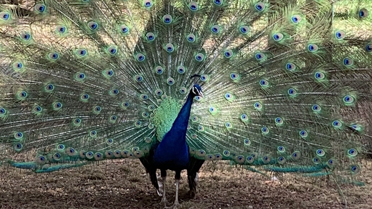 Photo of Others in Lakeview