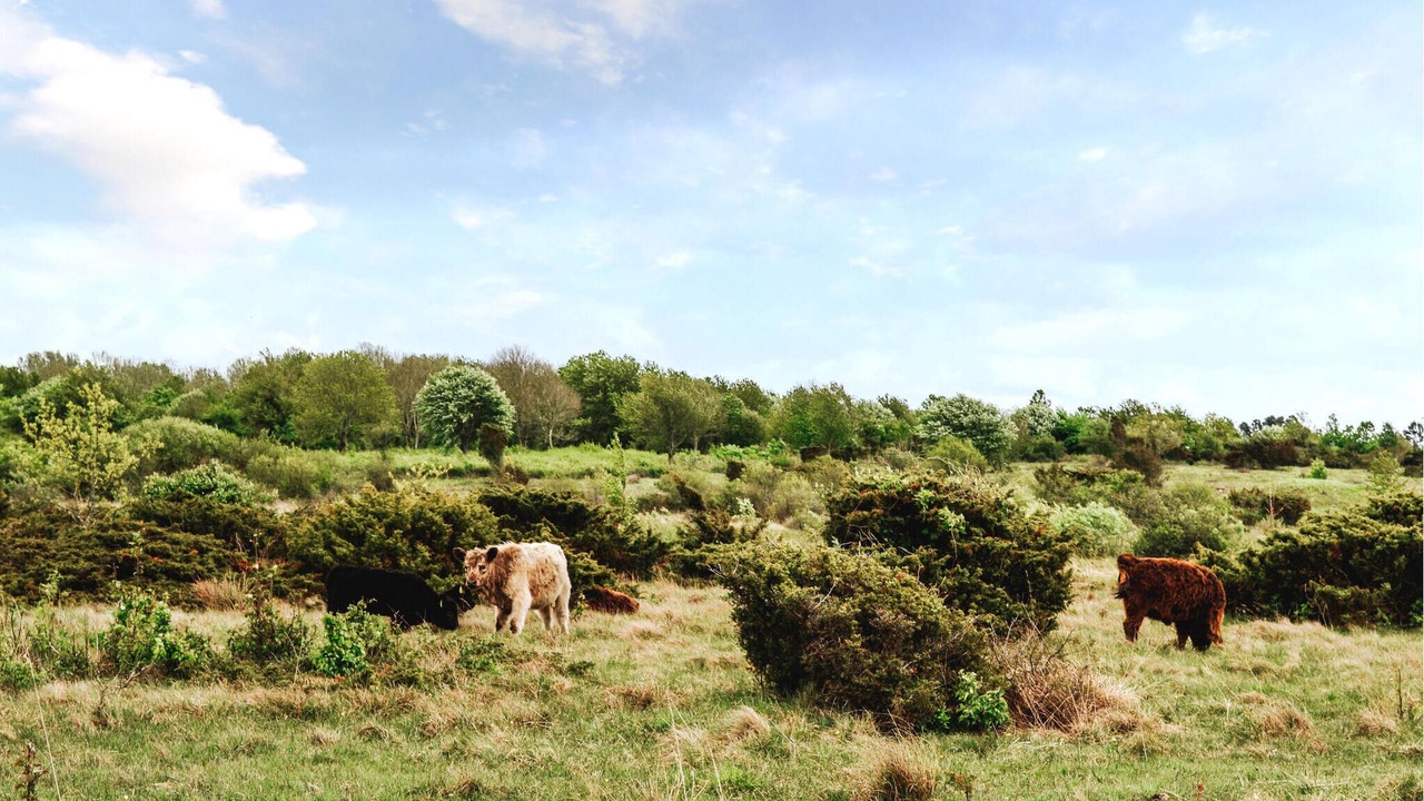 Photo of Outdoor in Horve