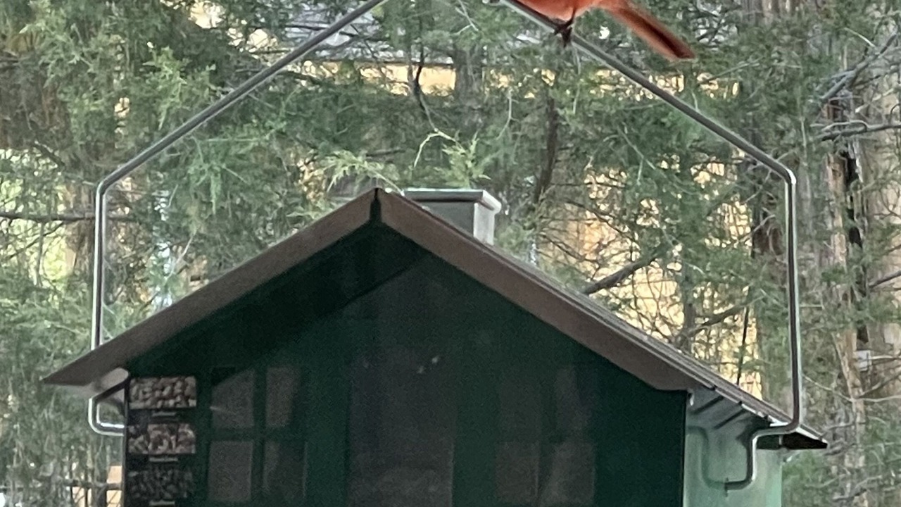 Photo of Others in Lakeview