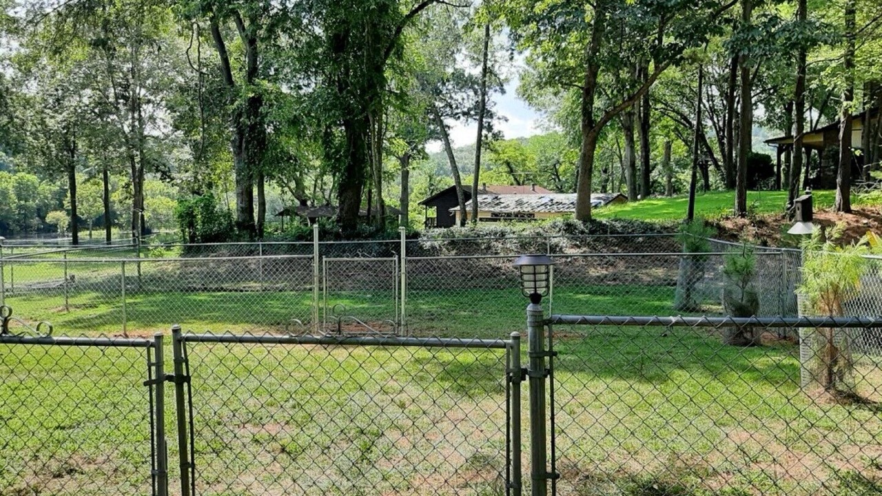 Photo of Others in Lakeview
