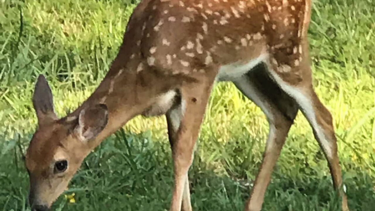 Photo of Others in Lakeview