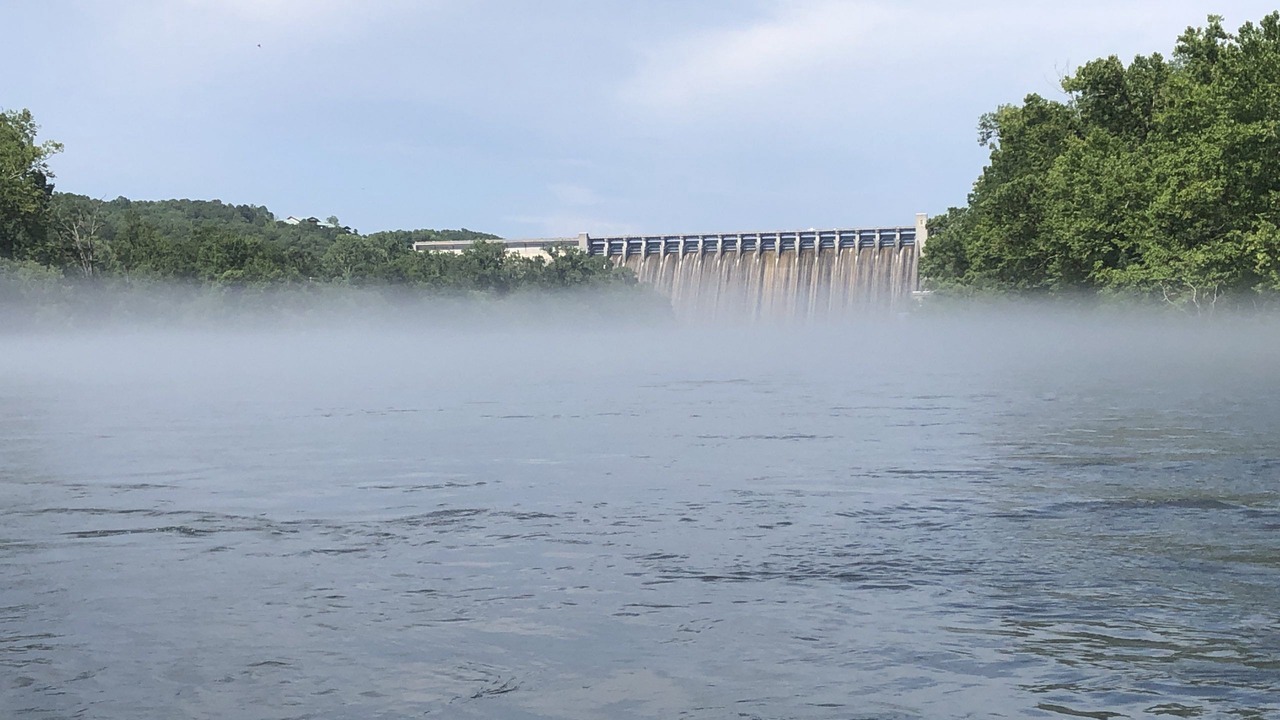 Photo of Others in Lakeview