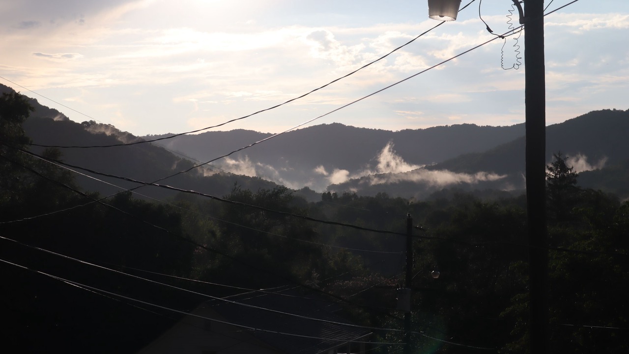 Photo of Others in Jellico