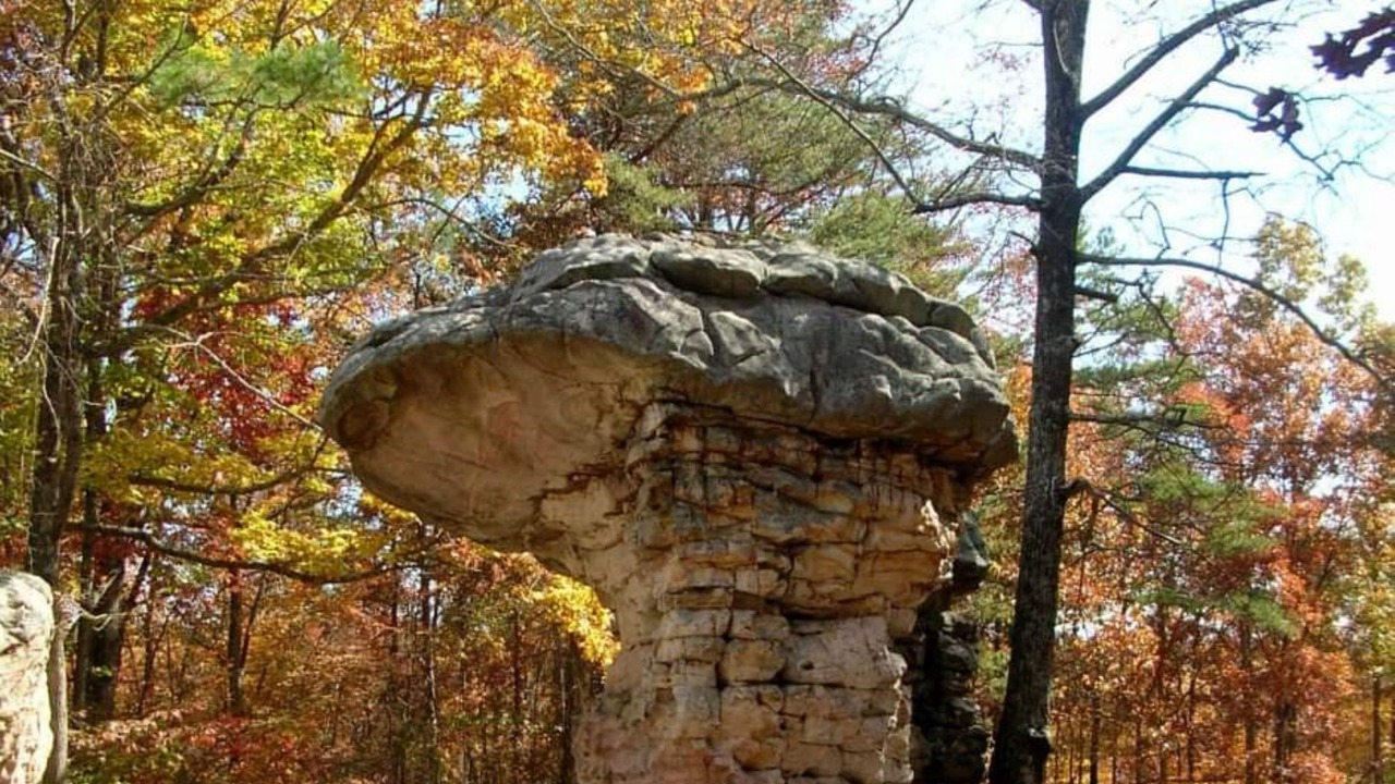 Photo of Others in Cedar Bluff