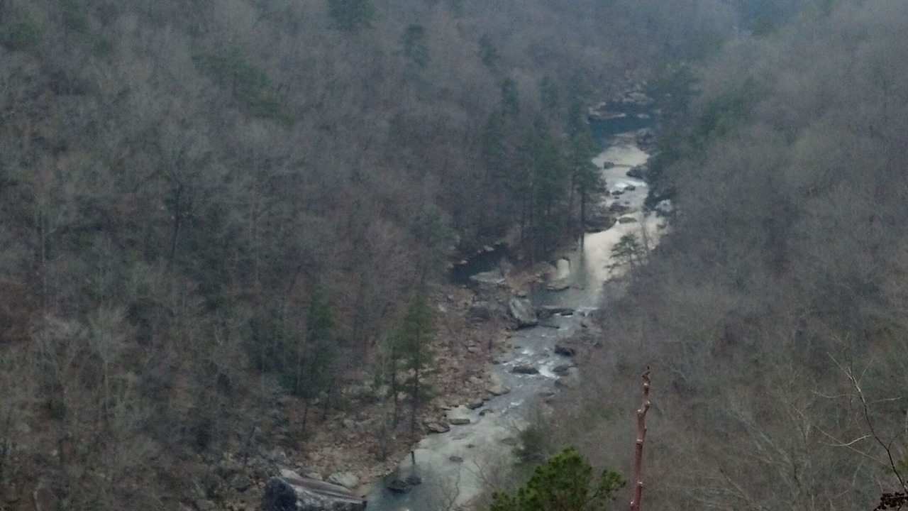 Photo of Others in Cedar Bluff