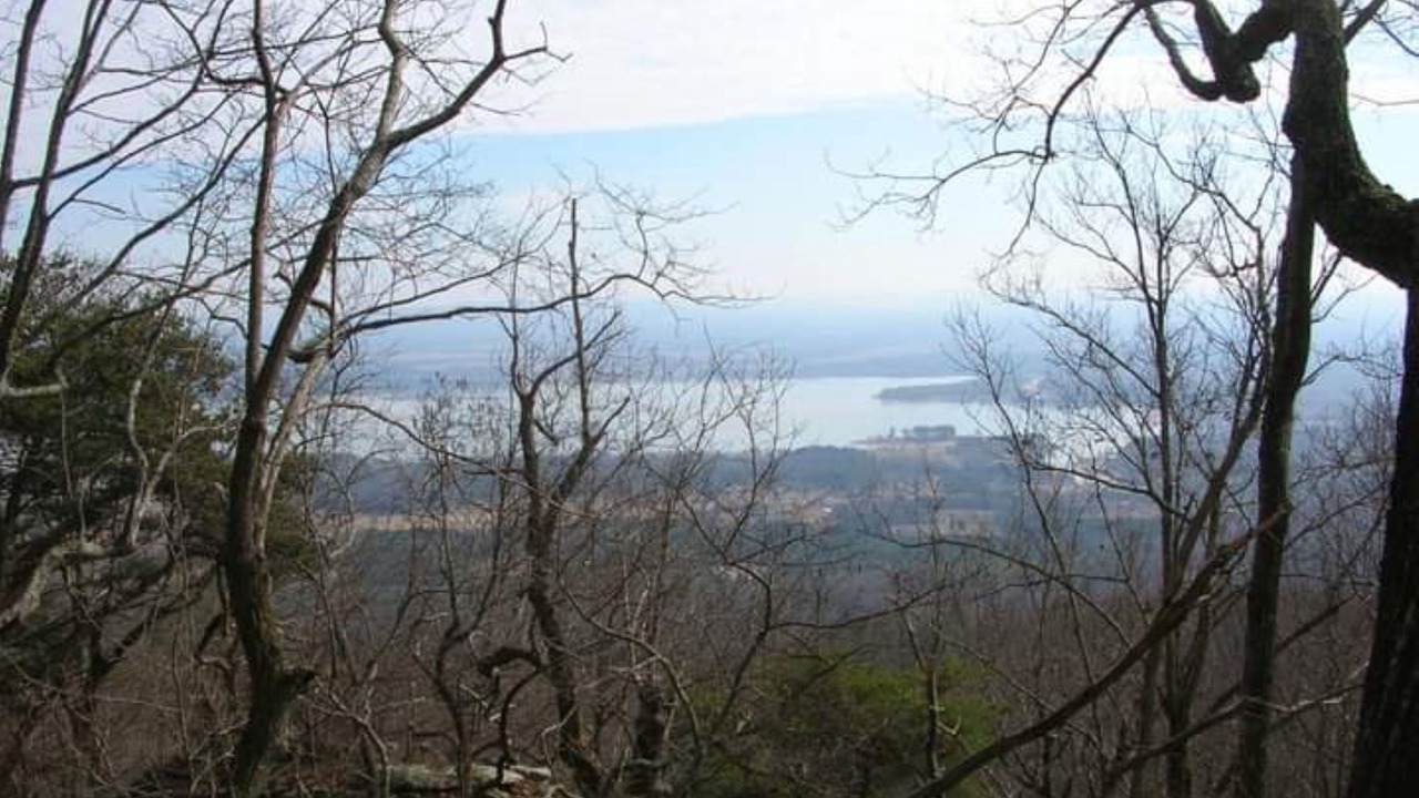 Photo of Others in Cedar Bluff