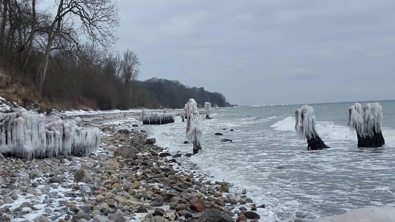 Photo of Others in Mommark Strand