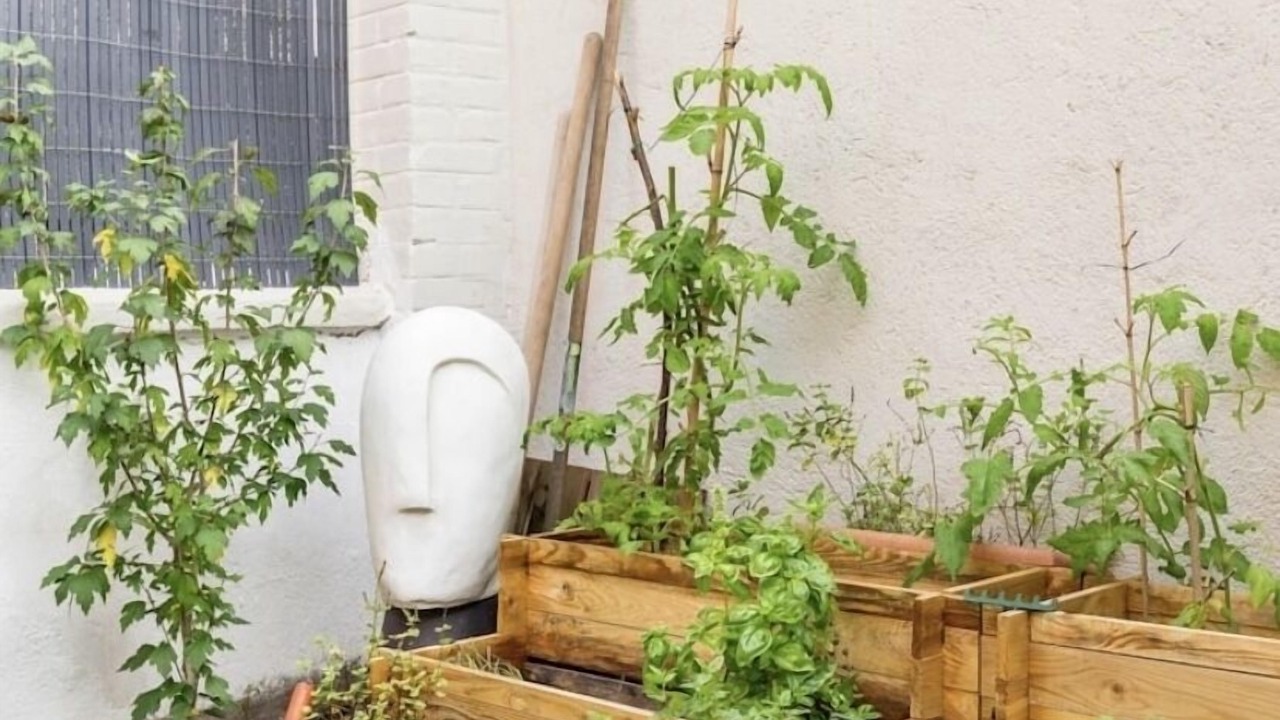 Photo of Outdoor in Le Plateau
