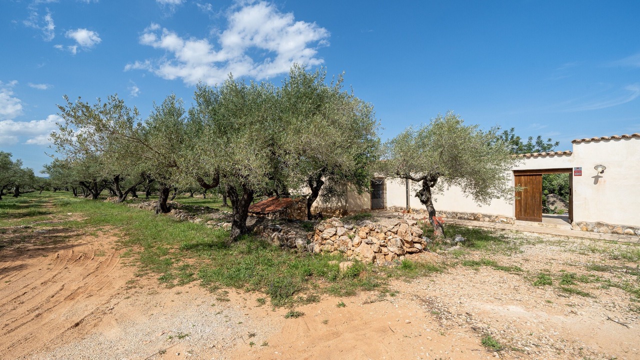 Photo of Outdoor in Costa Dorada