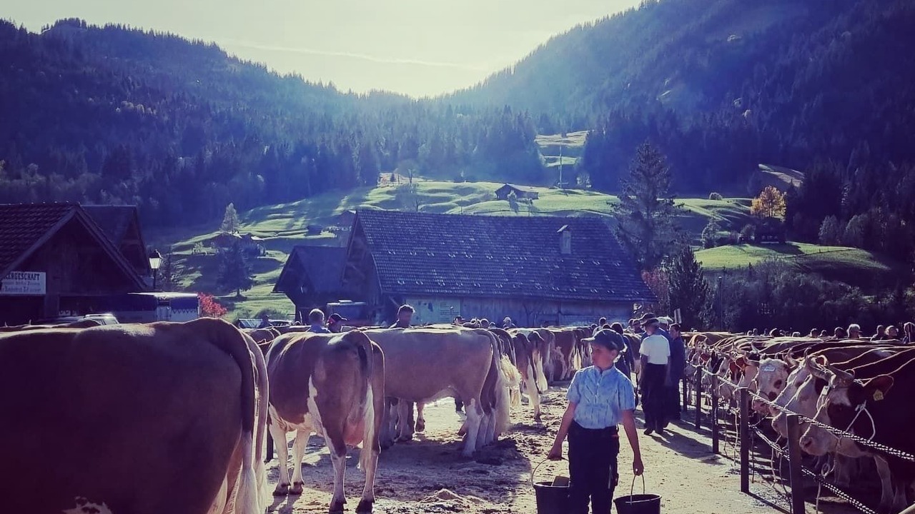 Photo of Others in Lauenen