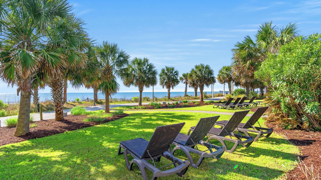 Photo of Outdoor in Downtown Myrtle Beach