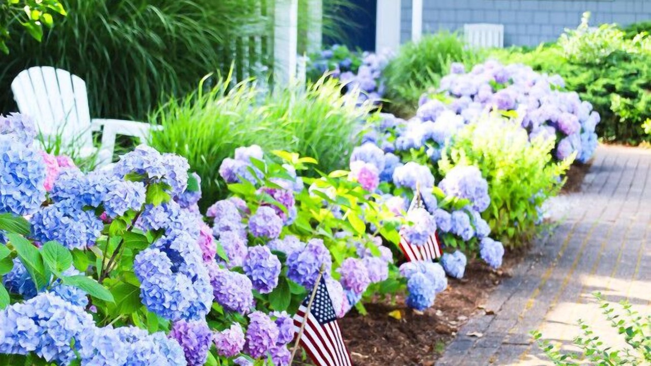 Photo of Outdoor in Northwest Harwich