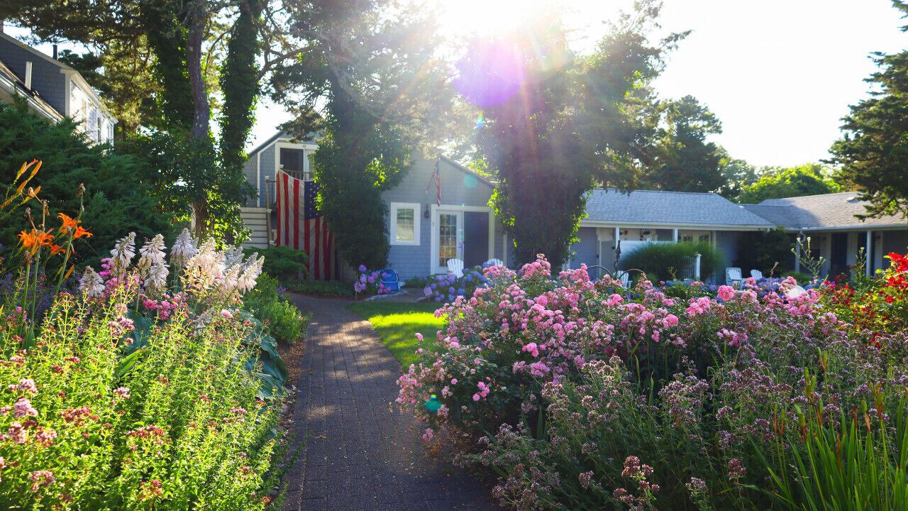 Photo of Outdoor in Northwest Harwich
