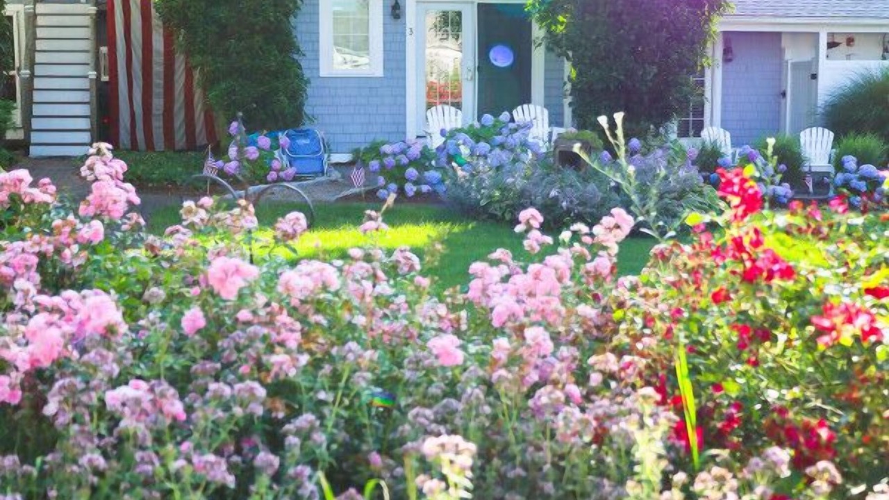 Photo of Outdoor in Northwest Harwich
