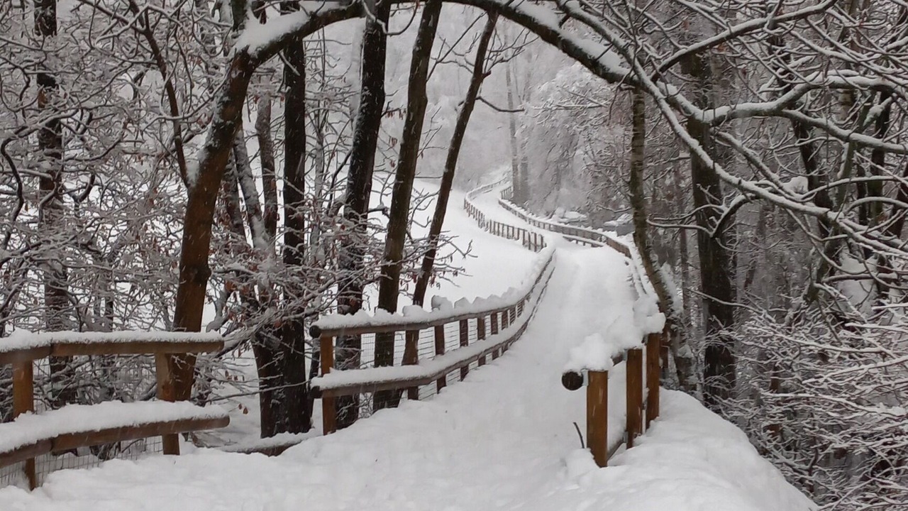Photo of Outdoor in Ansalonga