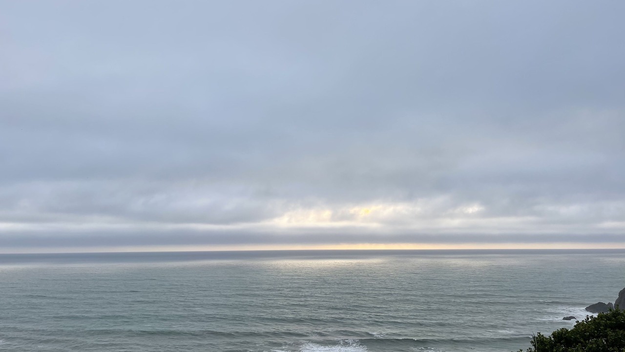 Photo of Others in Manchester