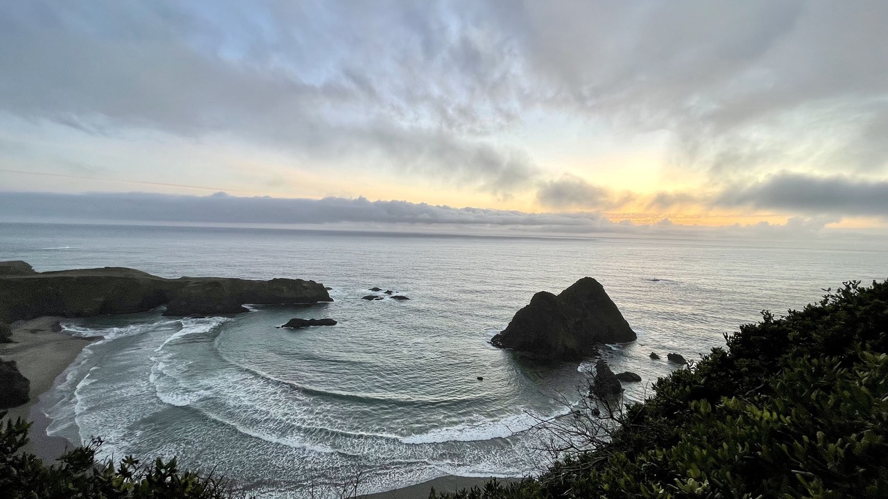 Photo of Others in Manchester