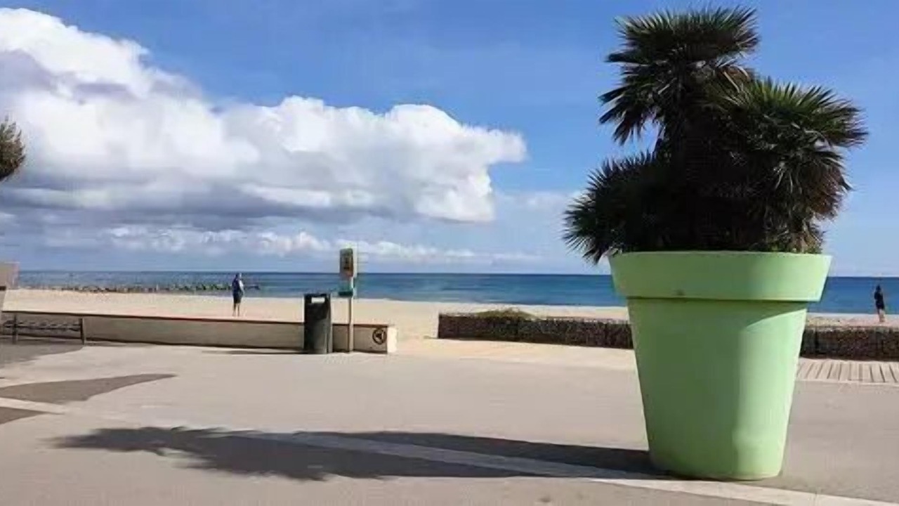 Photo of Others in Saint-Cyprien Plage