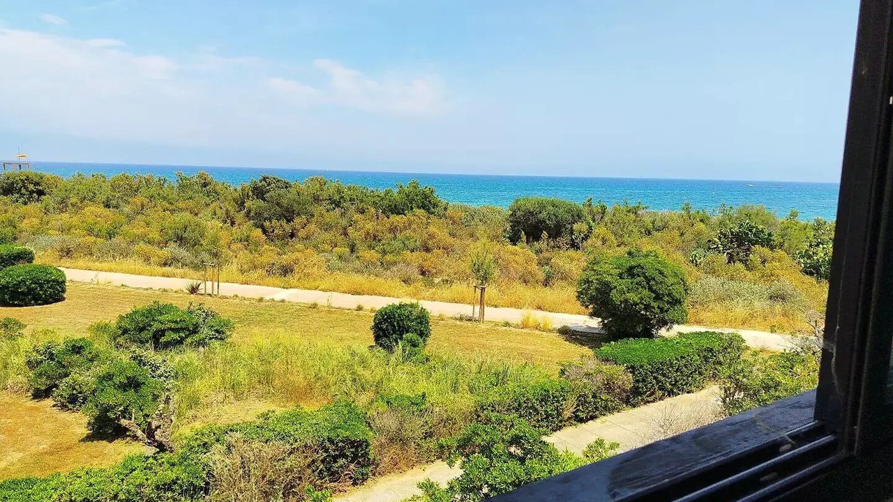 Photo of Others in Saint-Cyprien Plage