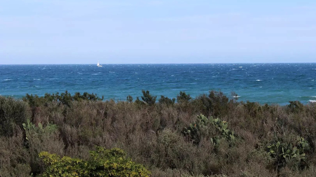 Photo of Others in Saint-Cyprien Plage