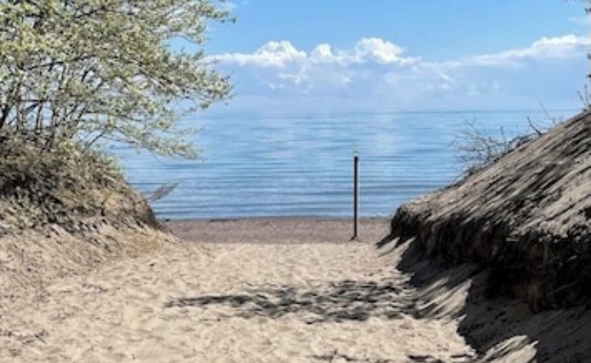 Photo of Others in Long Point