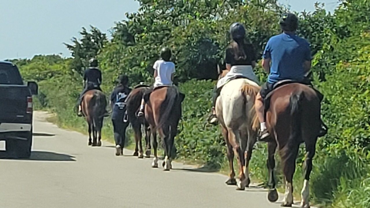 Photo of Others in Wakefield-Peacedale