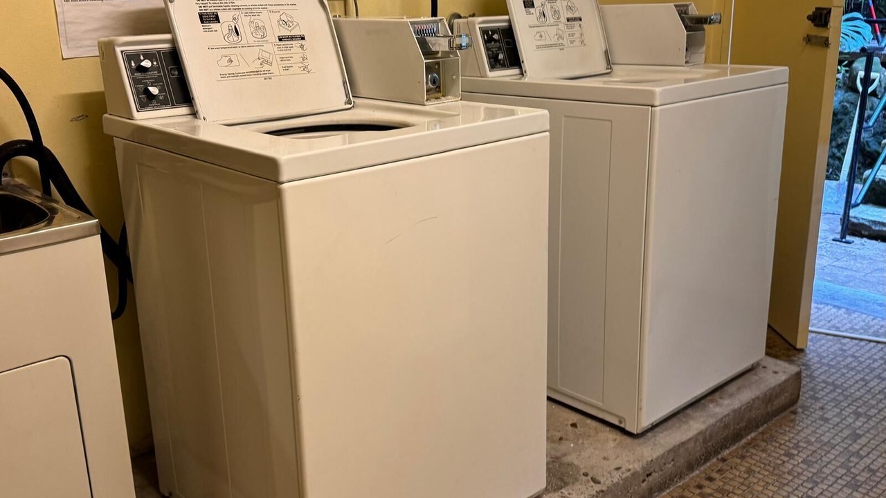 Photo of Others in Elizabeth Bay