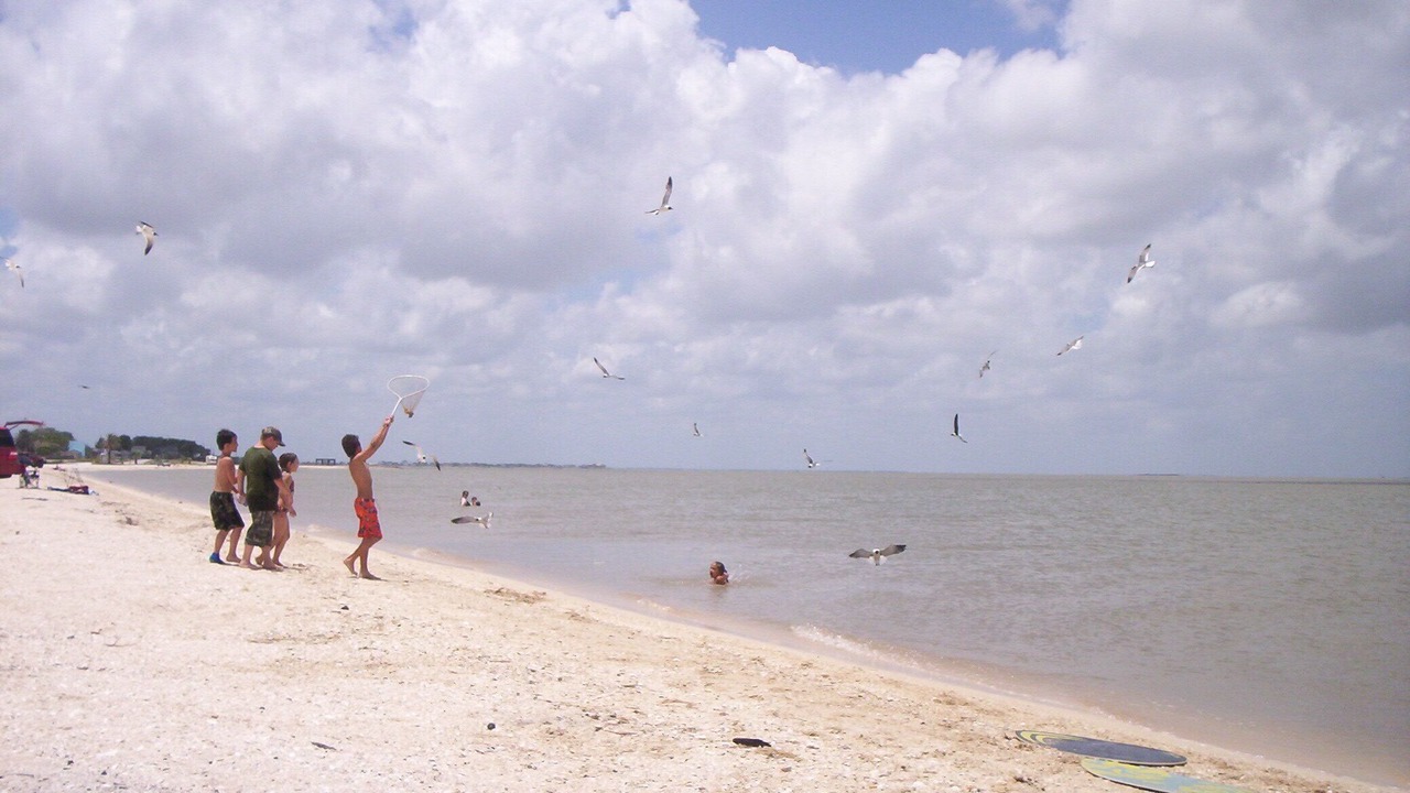 Photo of Others in Port Lavaca