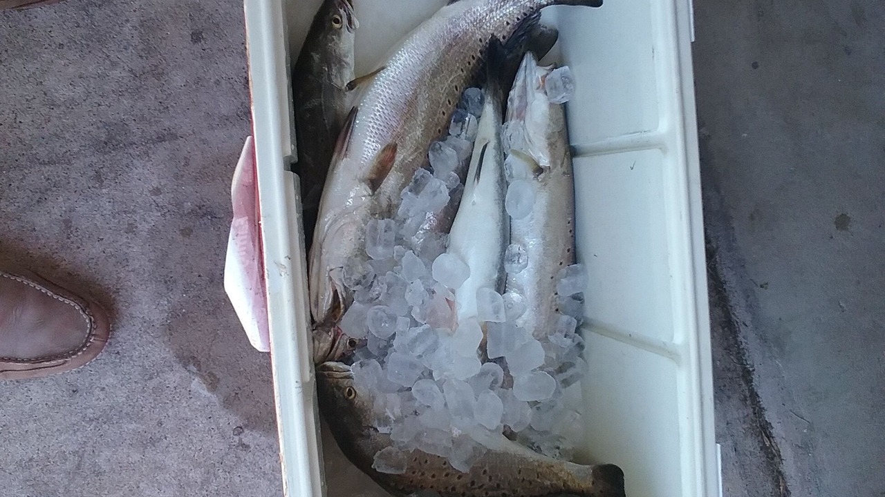 Photo of Others in Port Lavaca