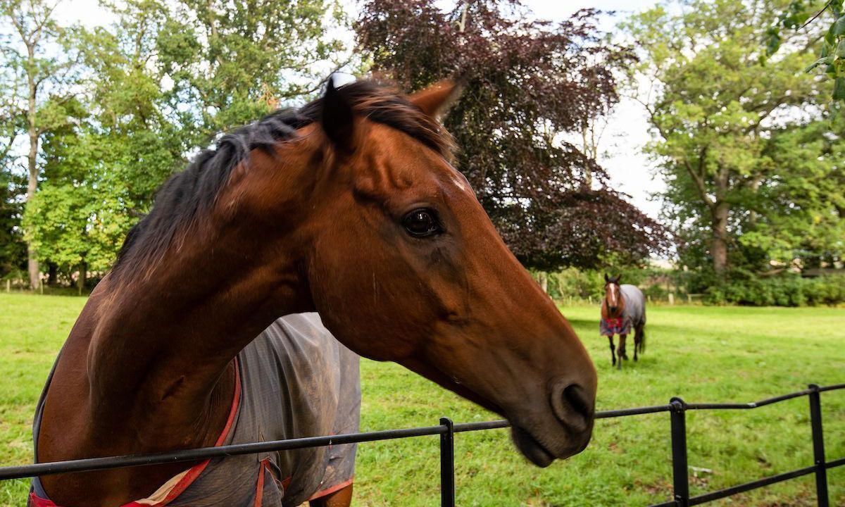 Photo of Others in Leitholm