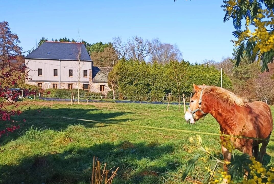 Photo of Outdoor in Guer